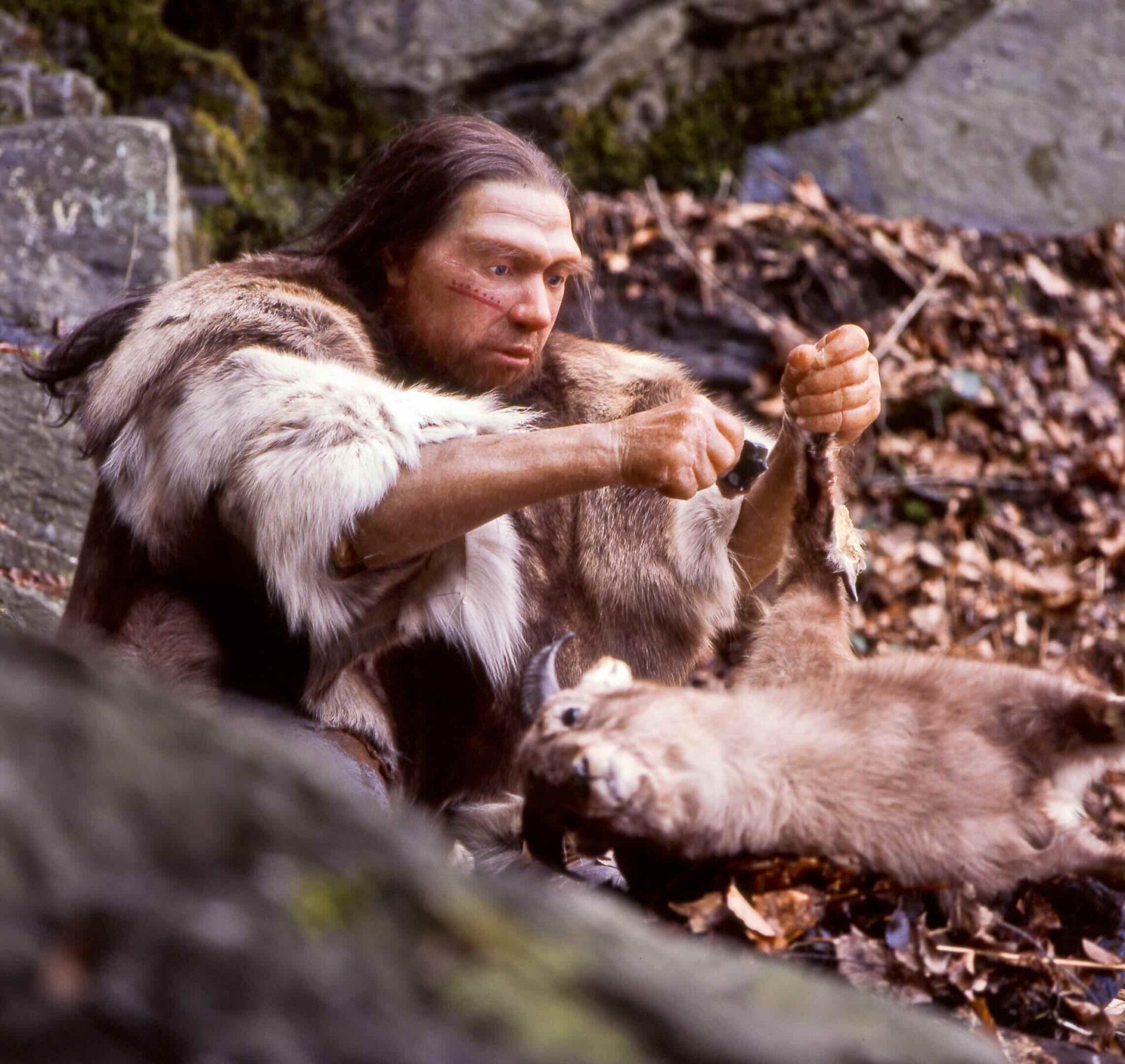 Neanderthal