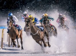 pietro-mattia-unsplash