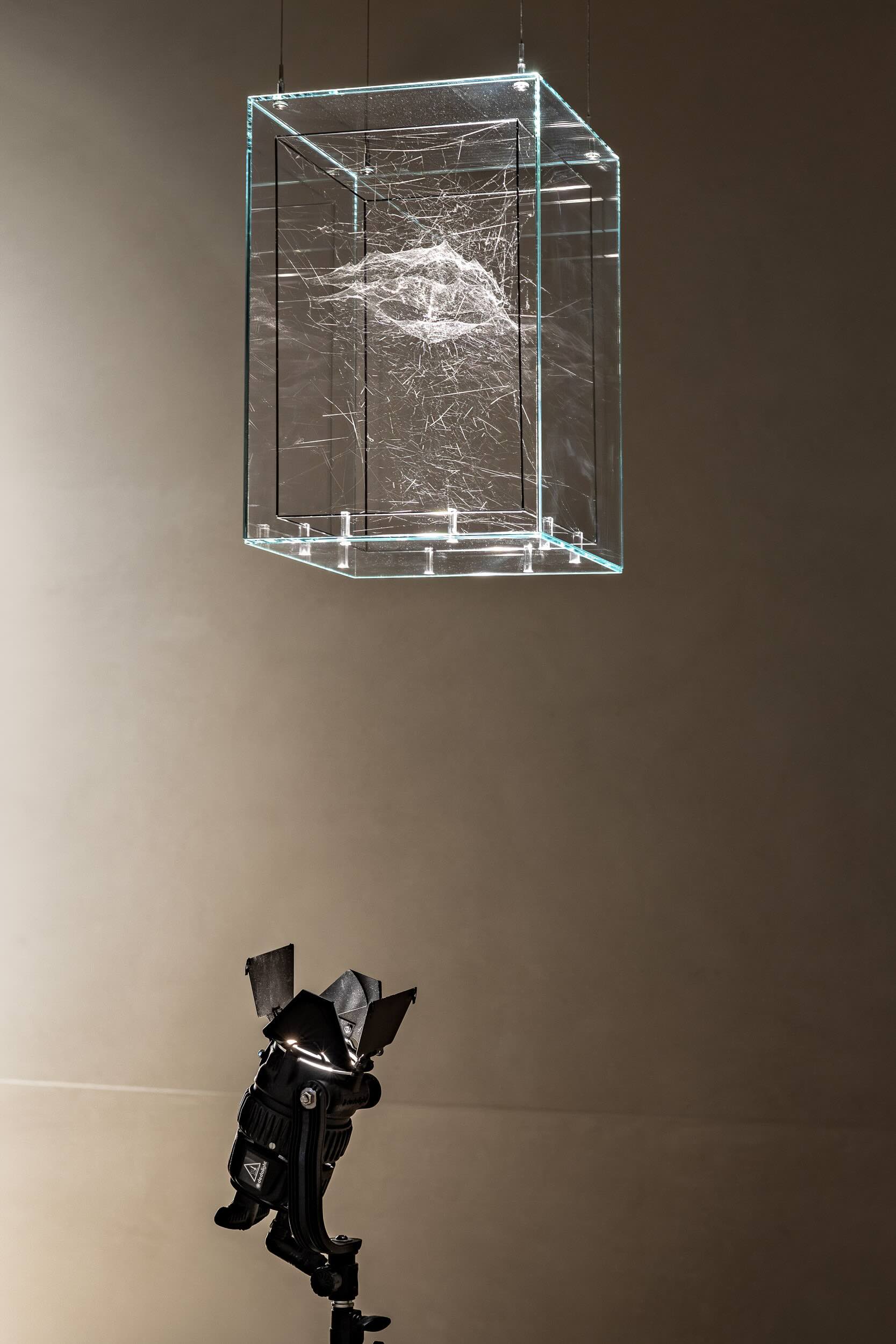 Quantum effect Saraceno