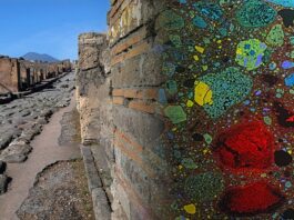 MIT_Roman-Concrete-01-press_0